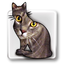 ID Image Catalog icon