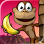 Monkey Bongo icon