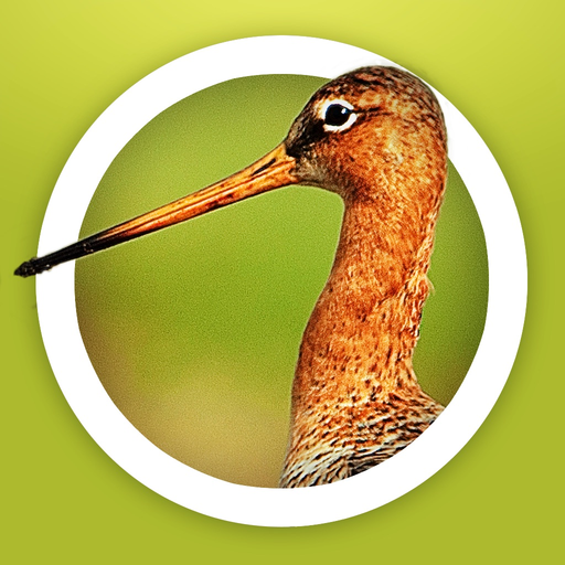 Vogels in Nederland app icon
