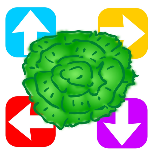 Path ton chemin app icon