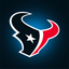 Houston Texans icon