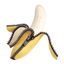 RAR Extractor Pro icon