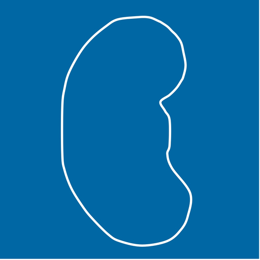 NefroCalc app icon