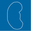 NefroCalc icon