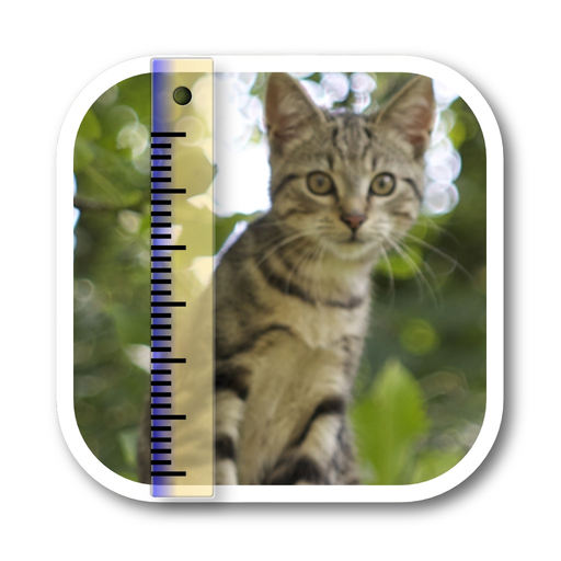 SizeMyPics app icon