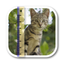 SizeMyPics icon