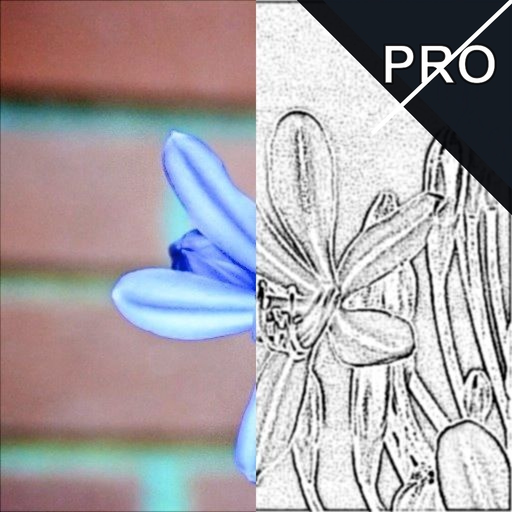 Charcoal Booth Pro app icon