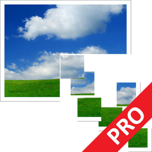 Pixillion Plus app icon