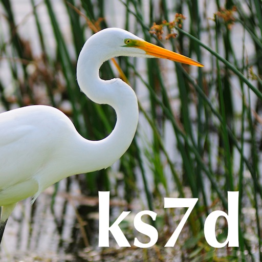 K3NetServer app icon