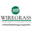 Wiregrass Electric icon