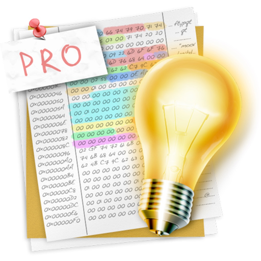 Synalyze It! Pro app icon