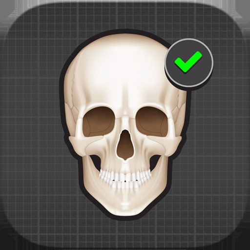 Human Skeleton: Beginner Bones app icon