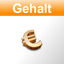 Gehalt 2017 icon