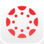 Canvas by Instructure icon