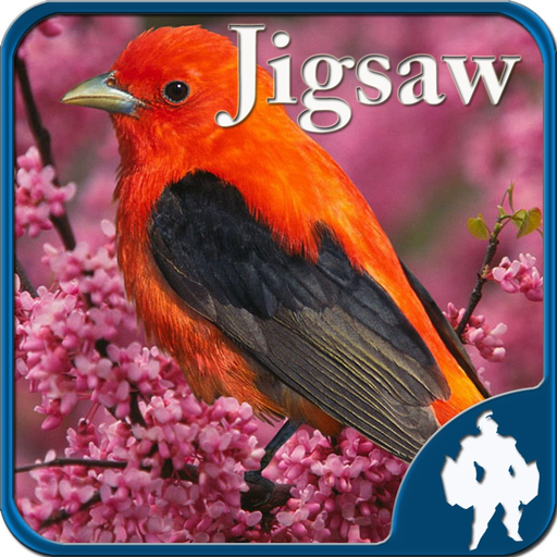 Birds Jigsaw Puzzles - Titan app icon