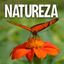 Revista Natureza Brasil icon