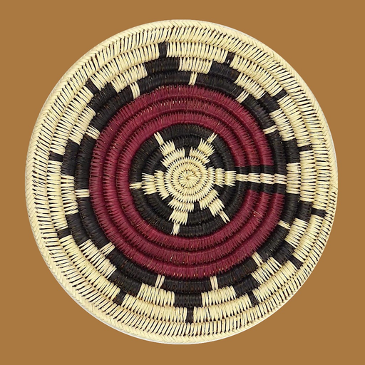 Speak Navajo Language Volume 4 app icon