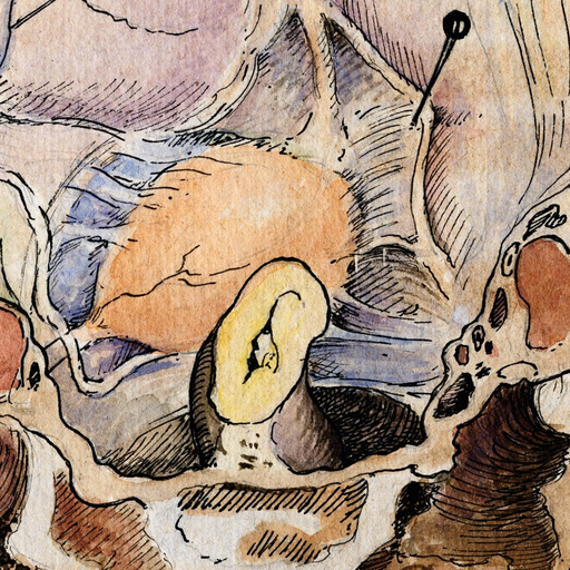 Gil Vernet’s Urology Drawings app icon