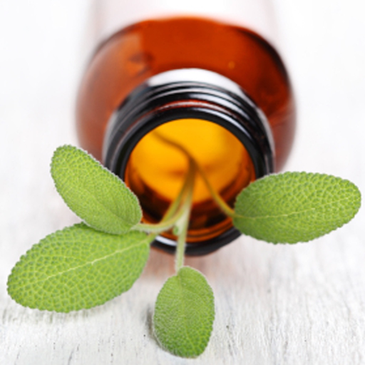 Guide de l'aromathérapie pour se soigner à base d'huiles essentielles app icon