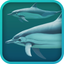 Dolphins 3D icon
