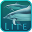 Dolphins 3D Lite icon