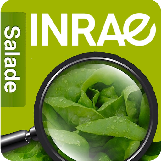 Di@gnoPlant Salade app icon
