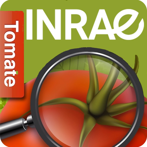 Di@gnoPlant Tomate app icon