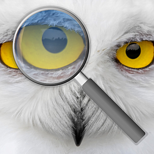 Photo Loupe app icon