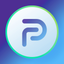 Pandora Drive Pro icon