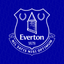 Everton icon