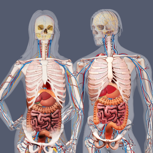 Build a Body: Biology Systems app icon