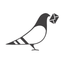 Paperless Post: Invitations icon