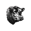 Angus Mobile icon