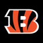 Cincinnati Bengals icon