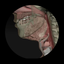 Dysphagia icon