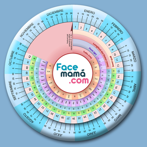 Pregnancy Gestogram app icon