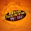 Bug Country 99.7 & 101.1 icon