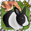 Bunny Fingers! 3D Interactive Easter Rabbit Reality! FREE icon