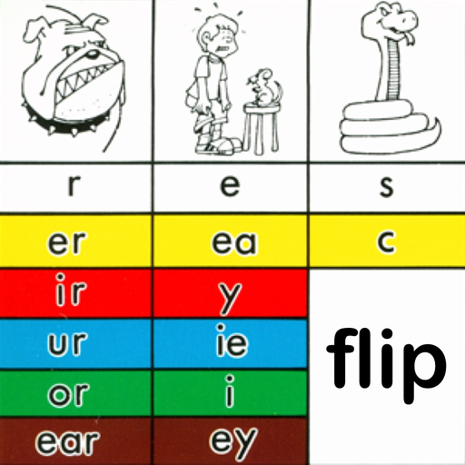 Decoding Chart - Flip app icon