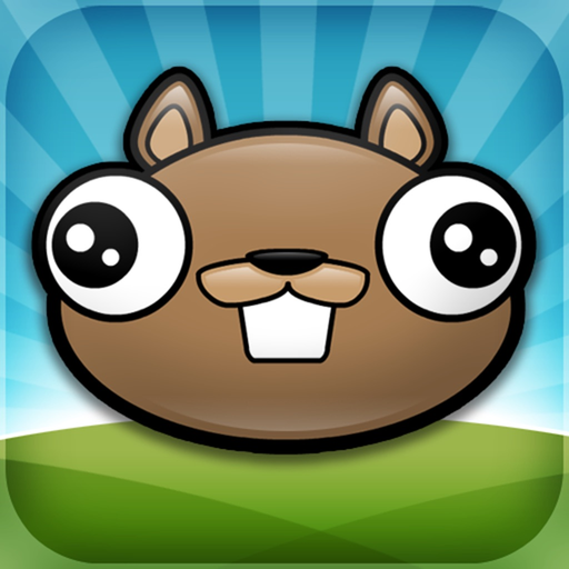 Noogra Nuts app icon