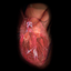 Virtual Heart icon
