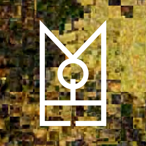 Melbourne Queer Film Festival app icon