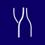 ProWein icon
