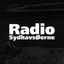 Radio SydhavsØerne icon
