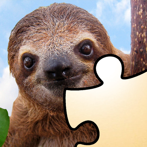 Jigsaws+ app icon