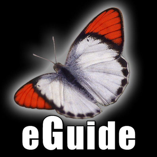 Butterfly eGuide app icon