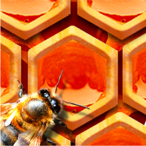BeeHive! app icon