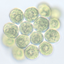 Protozoan Identification Free icon