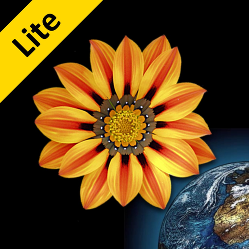 Web Images Lite app icon
