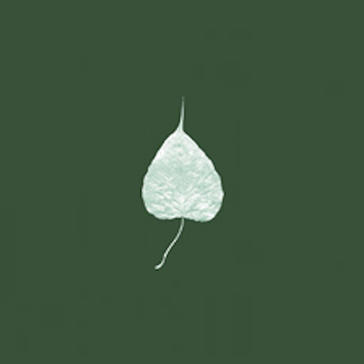 Dharma Seed app icon